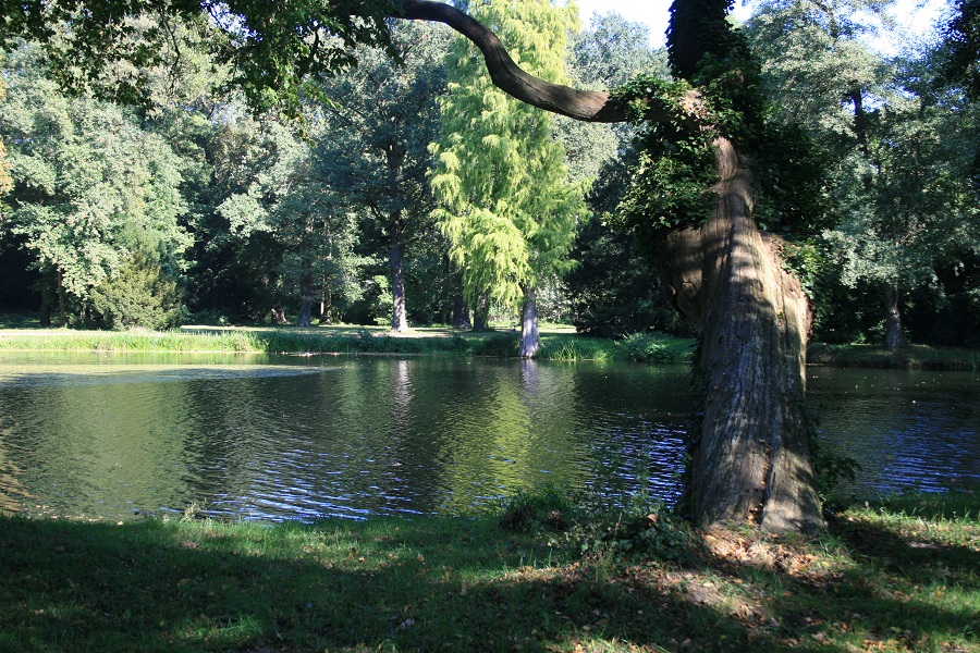Schlosspark Krumke, Teich
