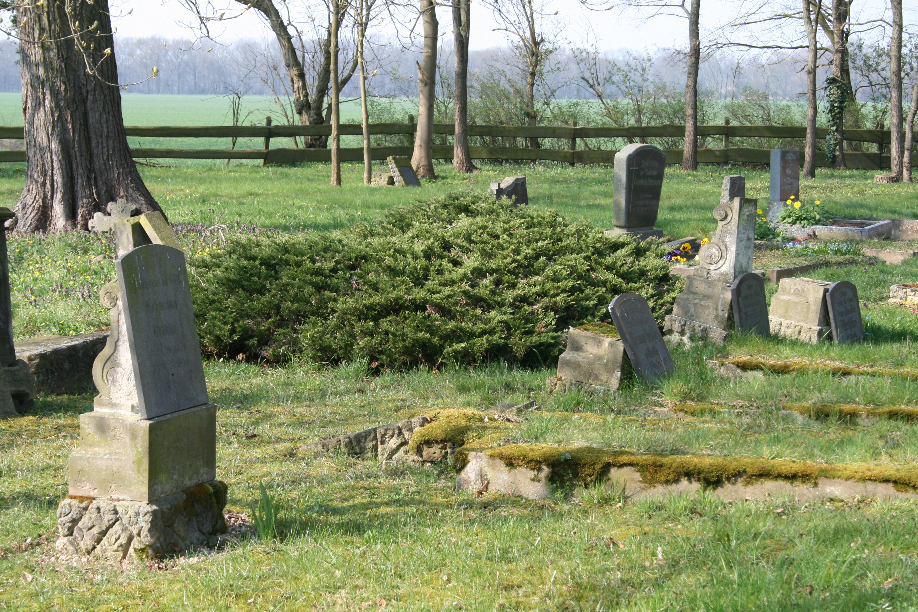 Alter Friedhof in Uchtenhagen